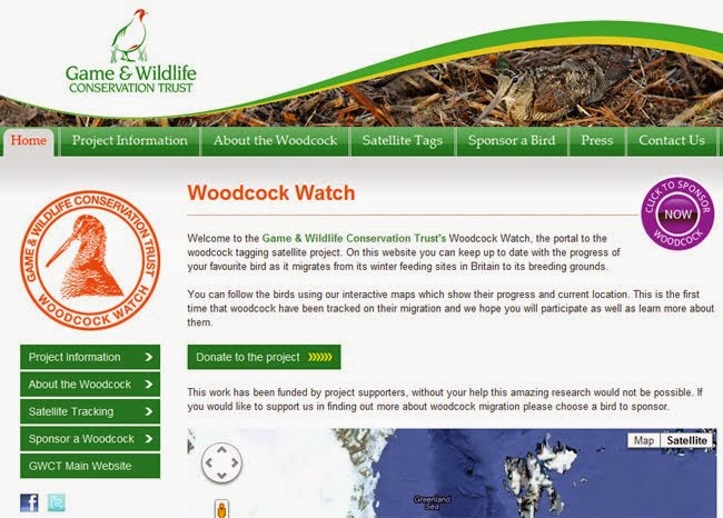 Woodcock Watch