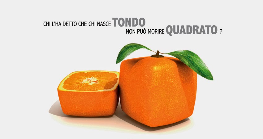 Se Uno Nasce Quadrato Non Muore Tondo