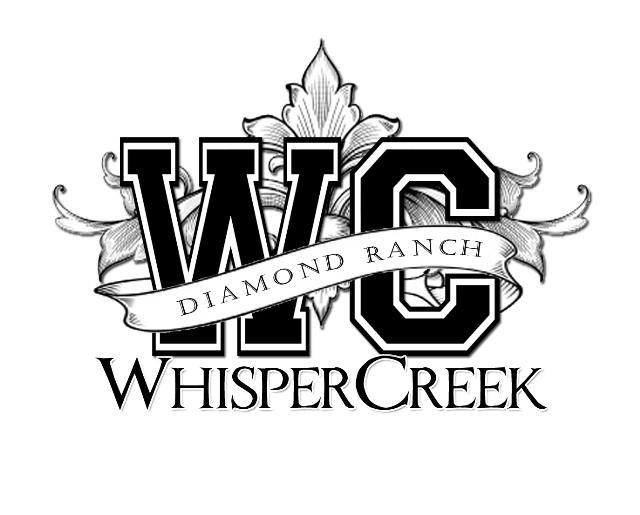 Diamond Ranch Academy | Whisper Creek Campus for 16-18 year old girls.
