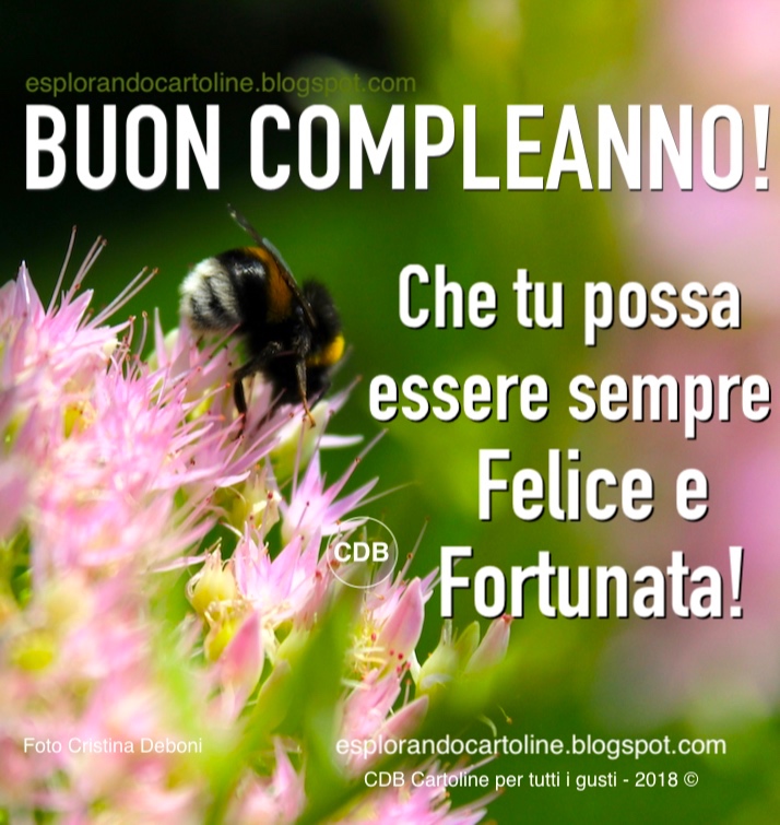 Cdb Cartoline Per Tutti I Gusti Cartolina Buon Compleanno Che Tu Possa Essere Sempre Felice E Fortunata Con Immagine Di Piccola Ape Su Fiore Rosa Di Pianta Grassa Da Scaricare Gratis
