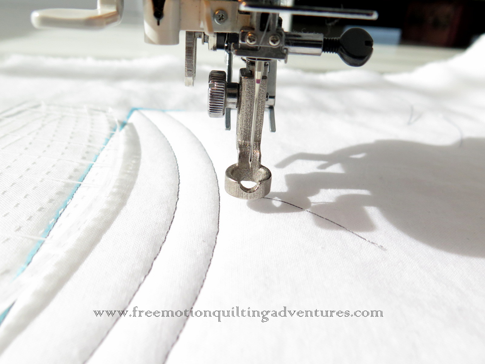 Amy's Free Motion Quilting Adventures Review of the Westalee Ruler