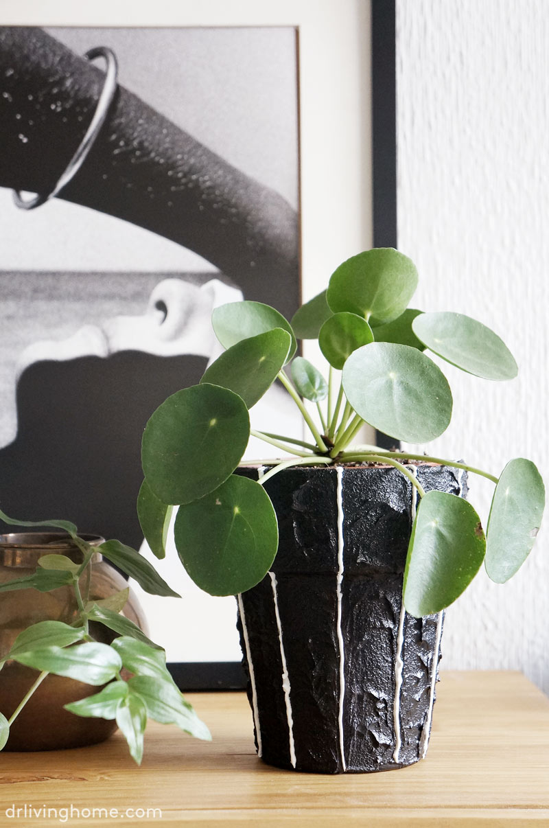 Maceta diy. Una maceta decorativa
