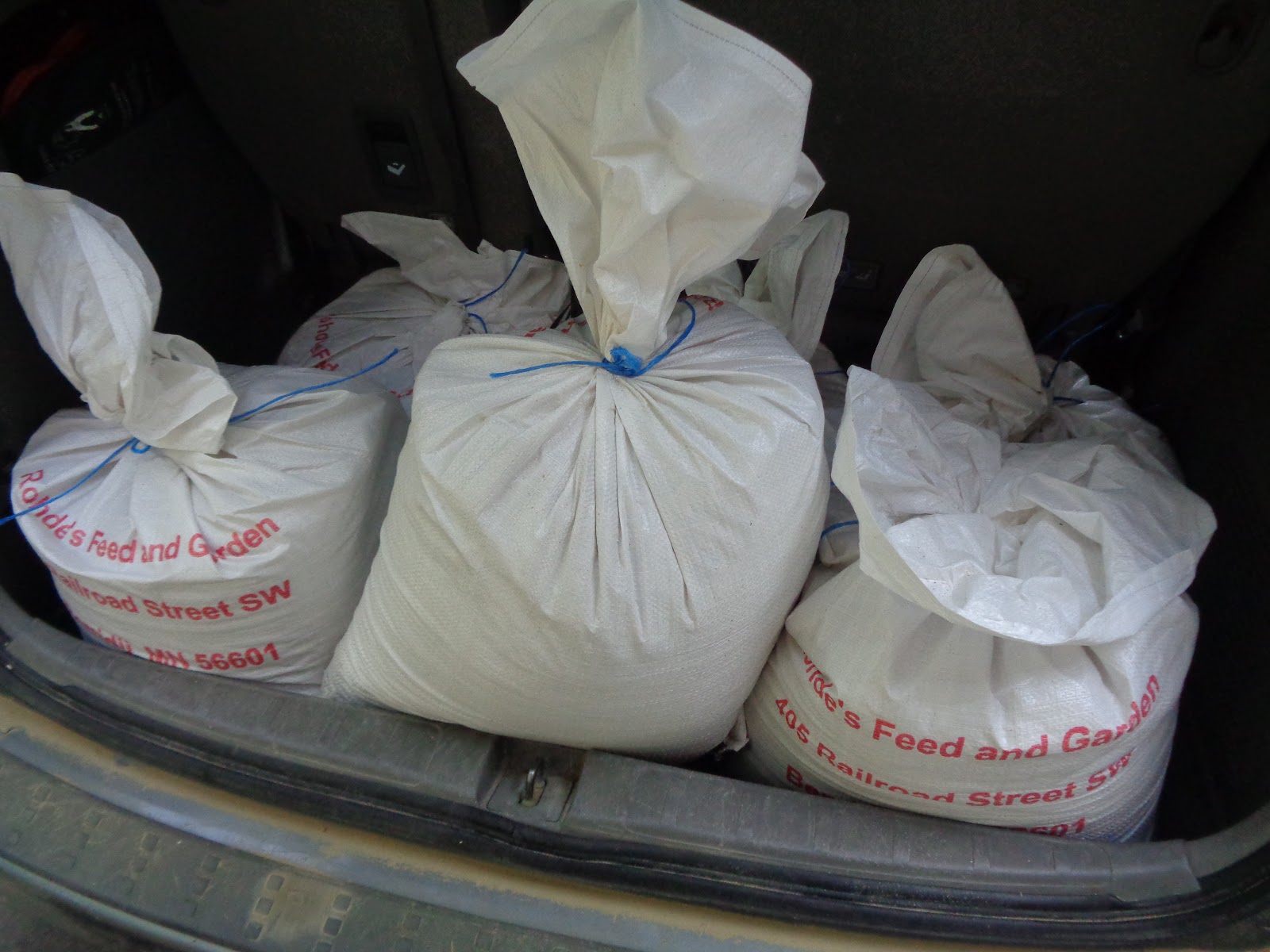 Proverbs 31 Living Buying Bulk Chicken Feed and Saving Money