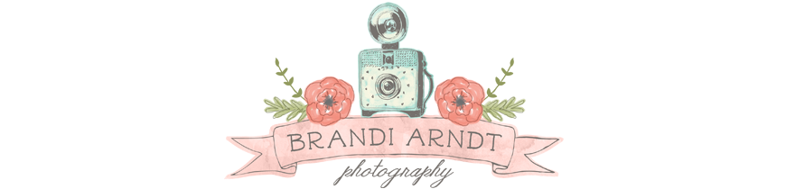 Brandi Arndt Photography