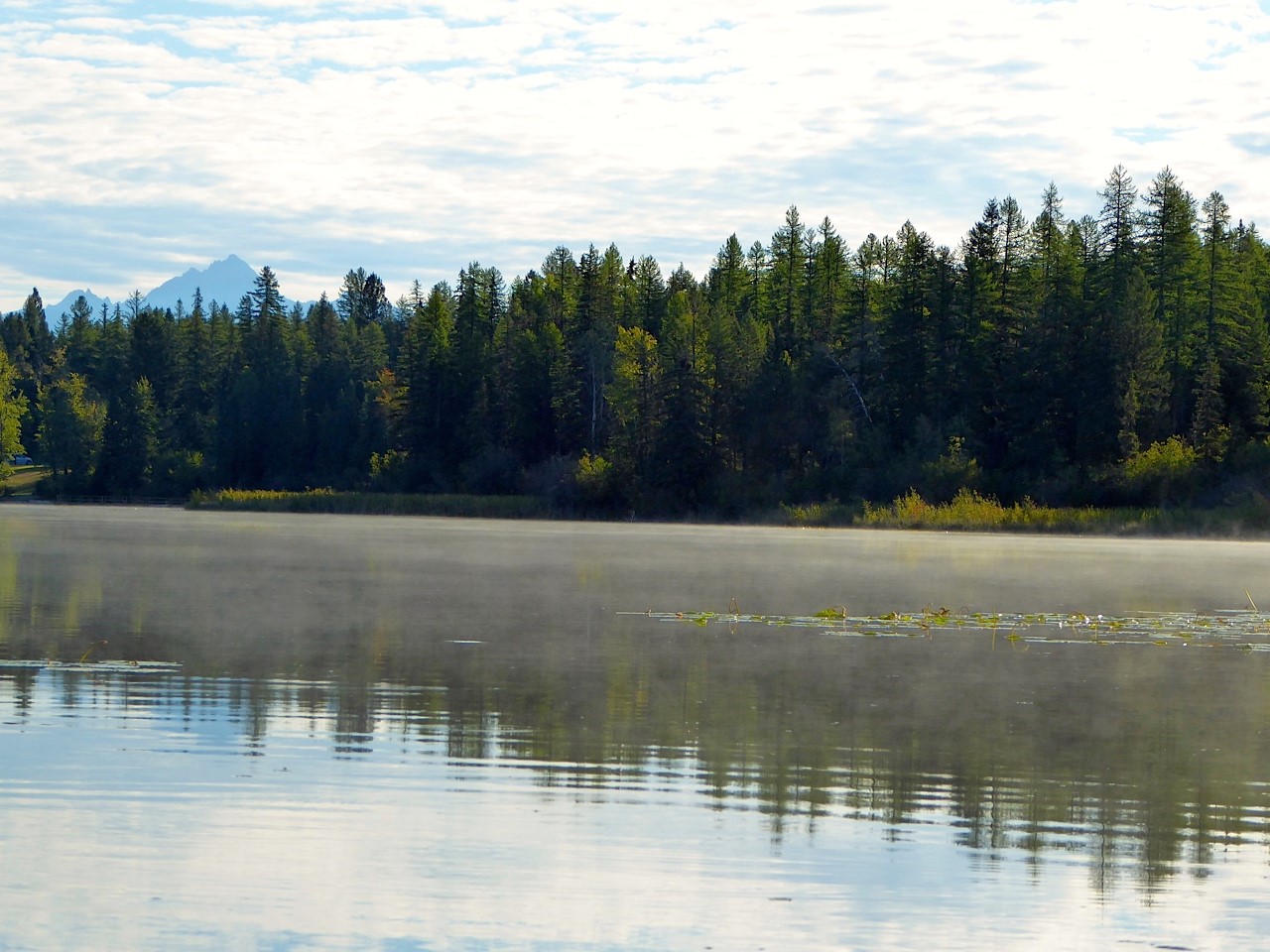 The Cranbrook Guardian Out and About at Jim Smith Lake