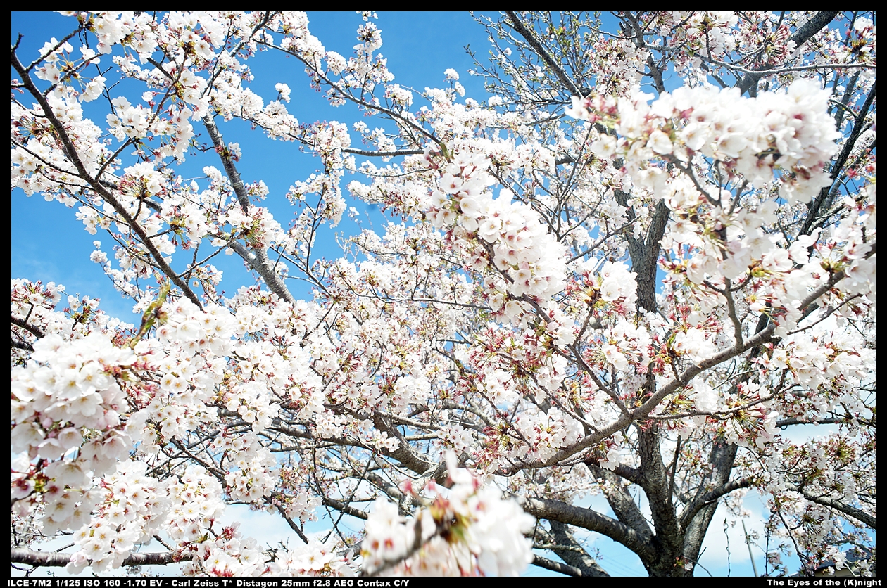 The Eyes Of The K Night 19 04 11 大日本雨雪追桜の旅その三 新幹線追桜記 再遊大洗 Gup聖地巡礼 舞台探訪