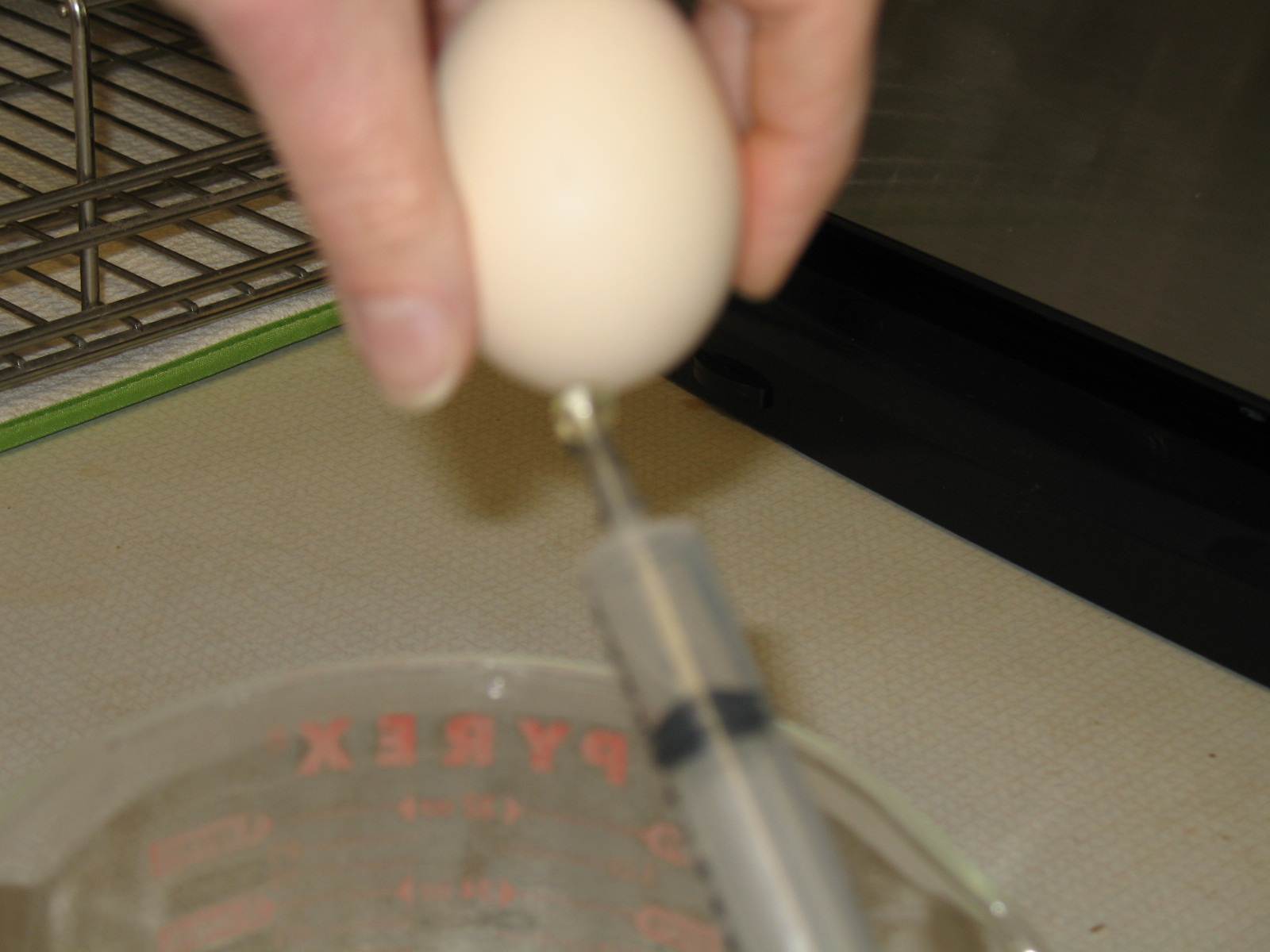 Home Farm Blowing Out Eggs