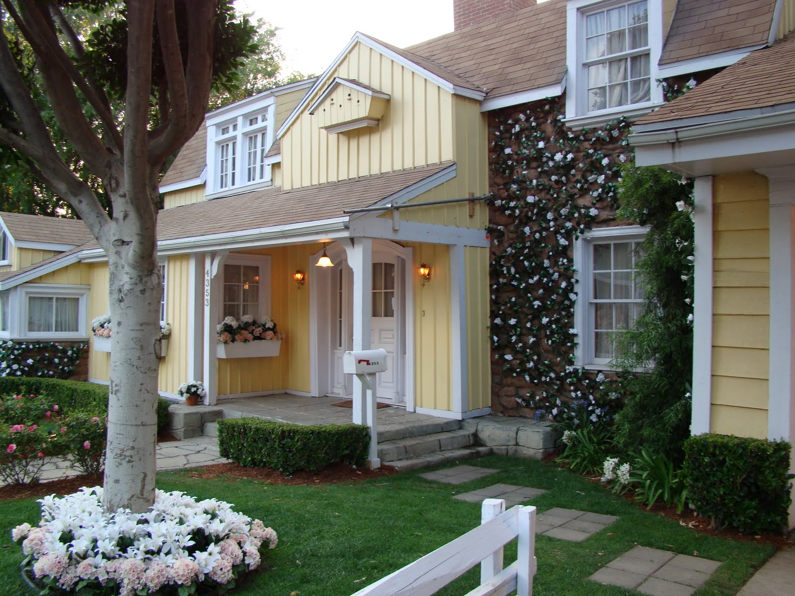 Bringing up Belknap Wisteria Lane and Nathan Fillion