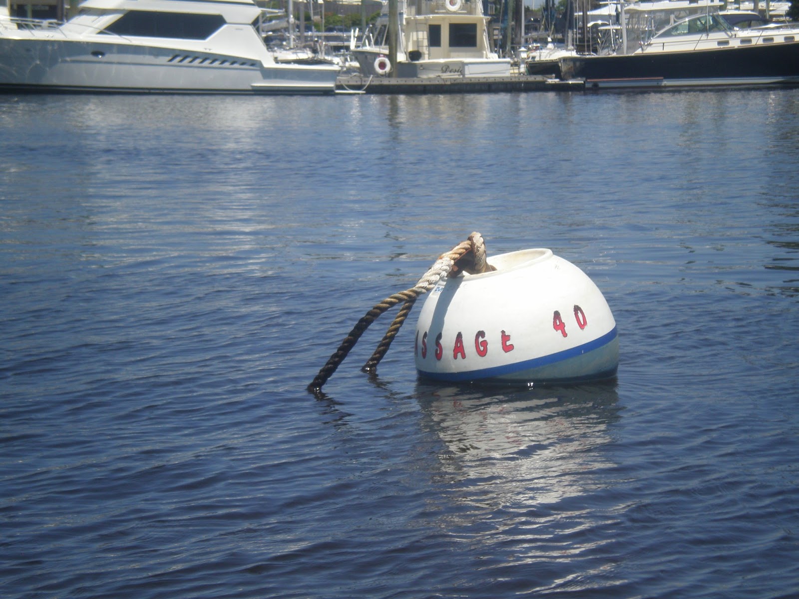 Meant To Be 4 Us June 2013