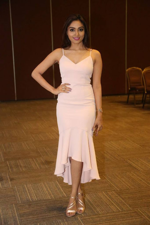 Aishwarya Devan at Rogue Audio Launch