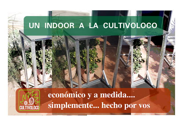 Un indoor a la Cultivoloco