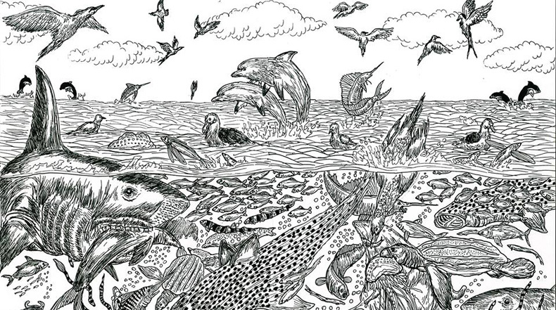 Nino Prodigio De 11 Anos Crea Los Mas Increibles Dibujos Inspirados