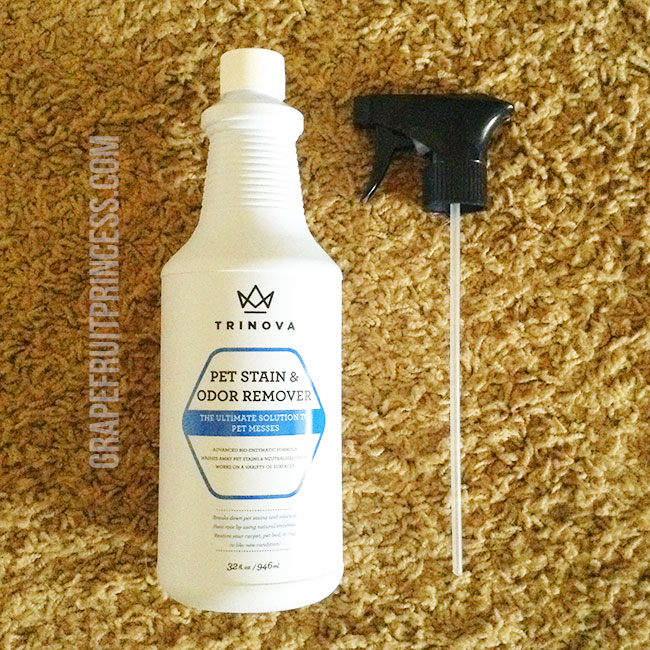 Grapefruitprincess ReLoaded Review TriNova Pet Stain & Odor Remover