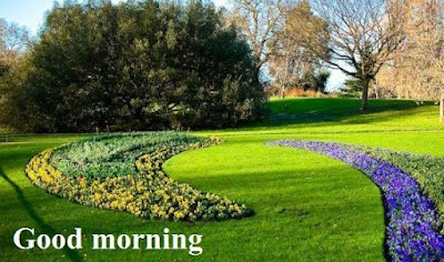 Good morning nature images free download - beautiful scenery Good morning nature images free download - beautiful scenery