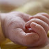 Λάρισα: Σοκάρουν τα ευρήματα του ιατροδικαστή για το έμβρυο που βρέθηκε νεκρό στα σκουπίδια  