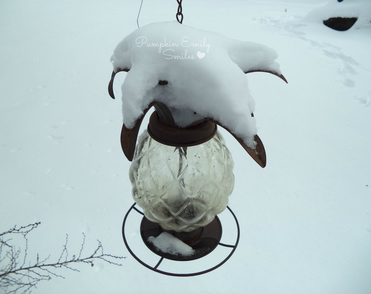 Bird feeder covered in snow