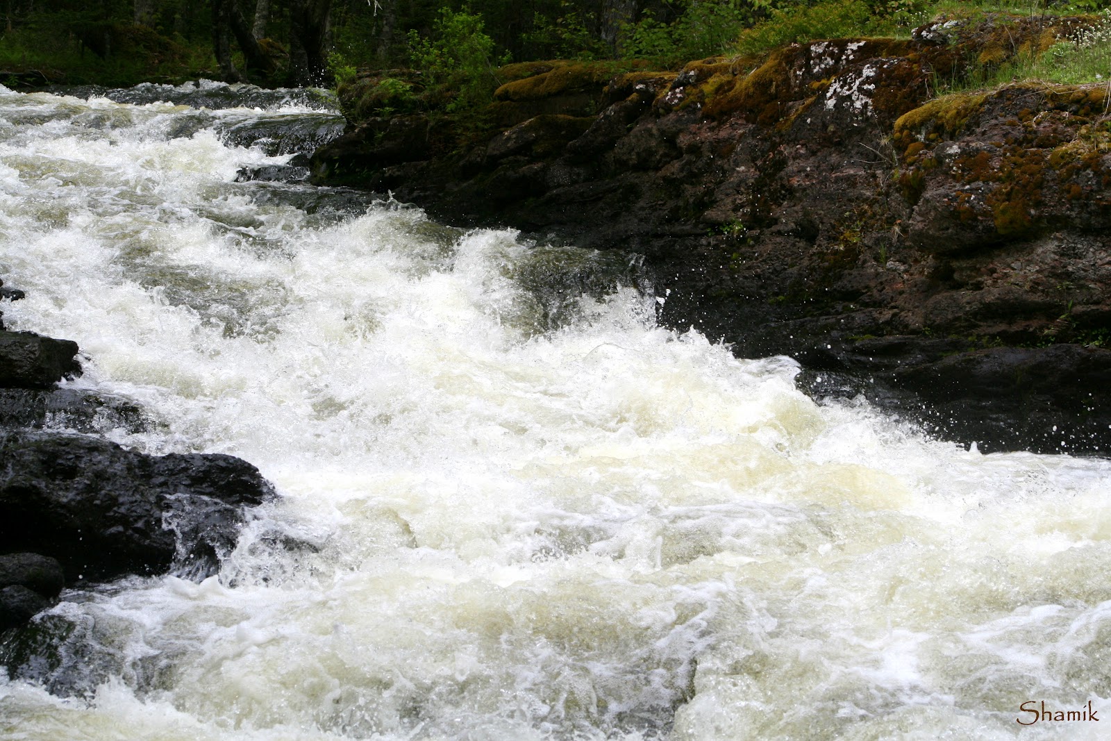Shamik Photography Devoted to the Natural Elements Gaspereau Grand
