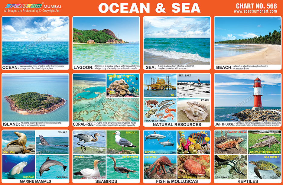 Spectrum Educational Charts: Chart 568 - Ocean & Sea