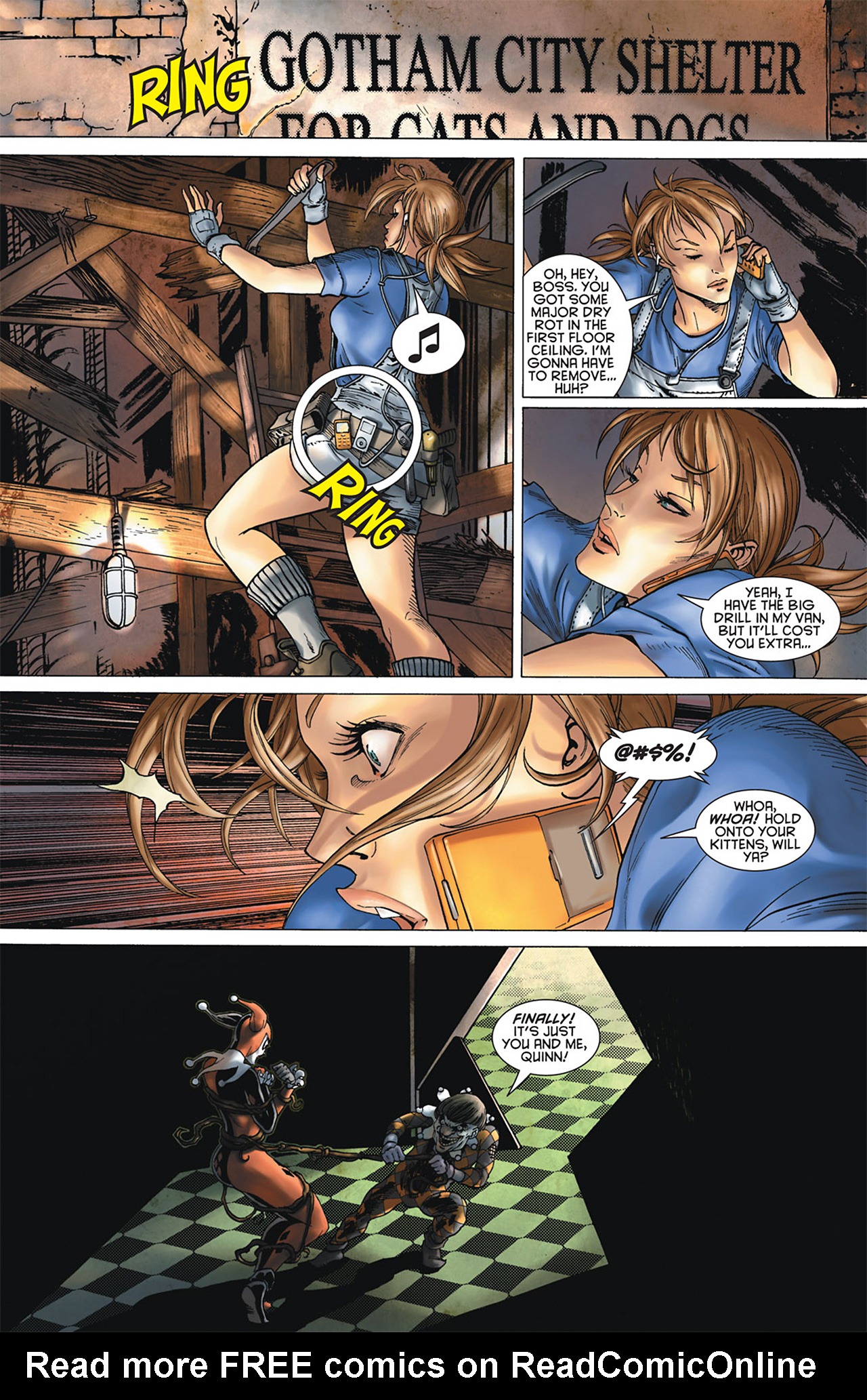 Read online Gotham City Sirens comic -  Issue #6 - 7