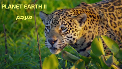 كوكب الأرض الفيلم الوثائقي المترجم كوكب الأرض Planet Earth 2 Pp2