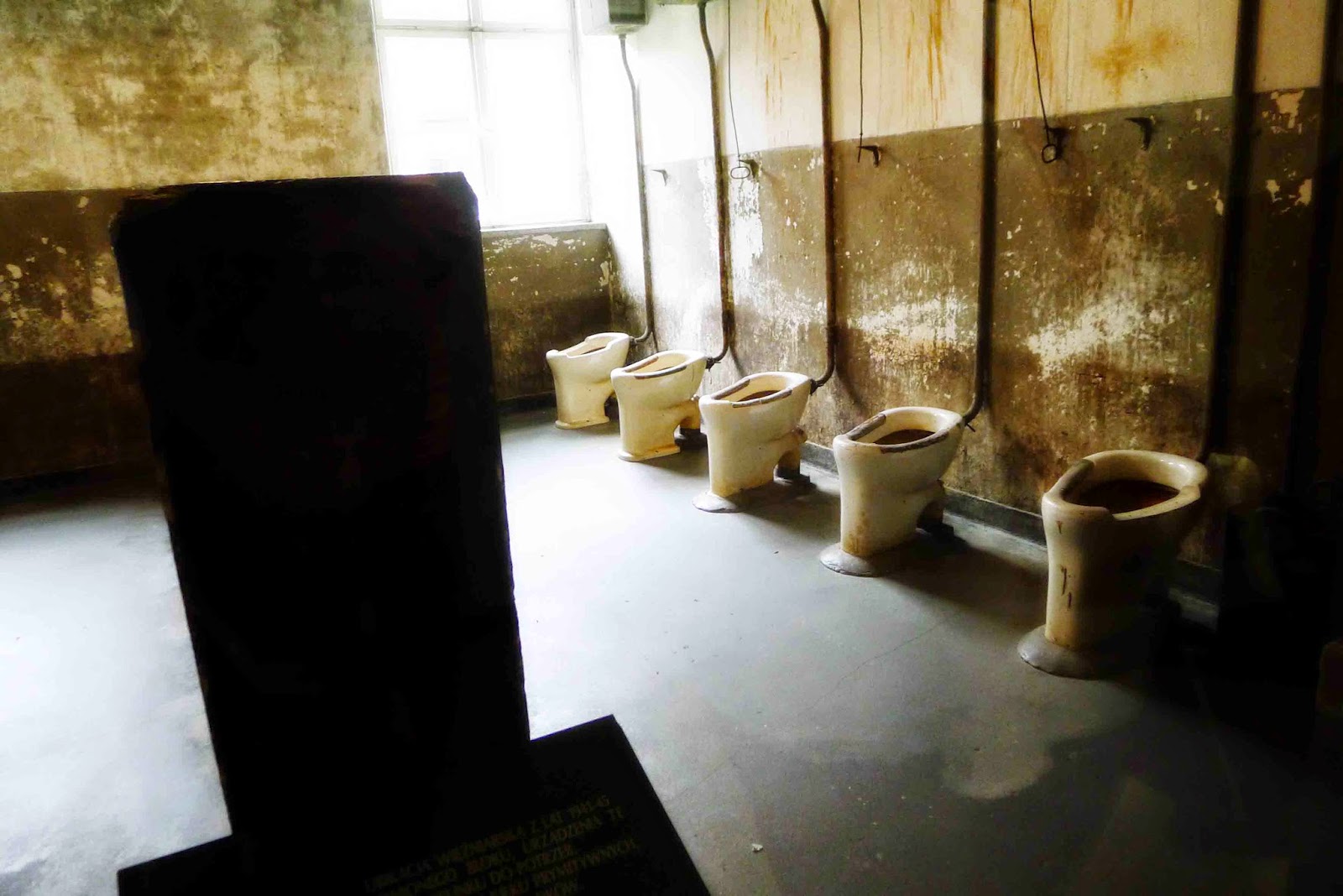 Auschwitz Toilets