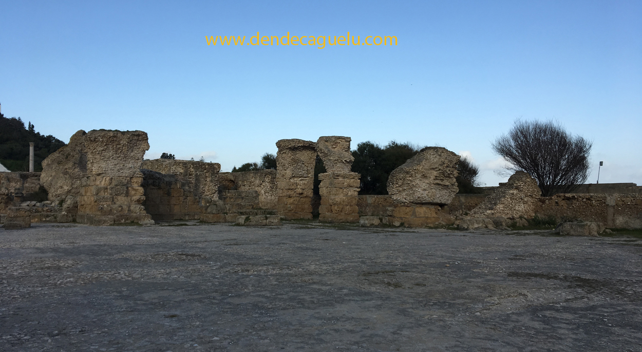 dendecaguelu Termas de Antonino, en Cartago (Túnez).