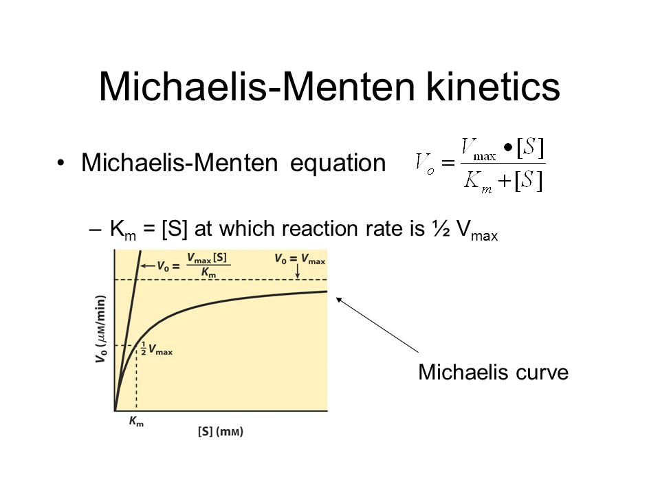 Contoh Soal Persamaan Michaelis Menten - Guru Paud