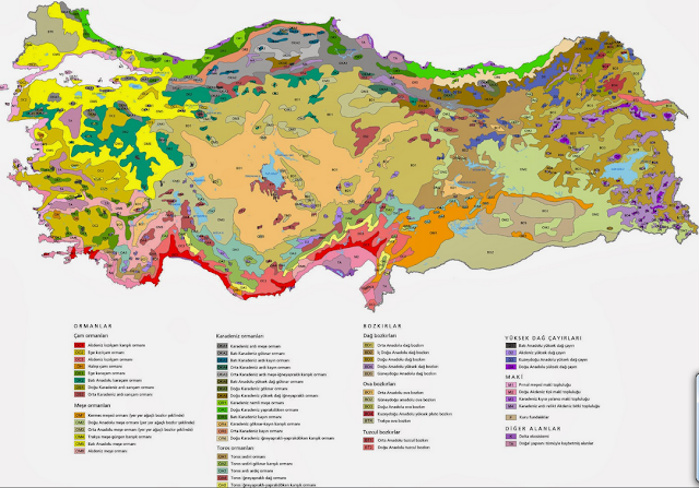 türkiyenin bitki örtüsü haritası Global Bilgiler