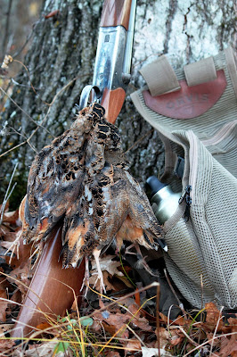 CZ Bobwhite giving the Orvis Strap Vest a break with a limit of woodcock.