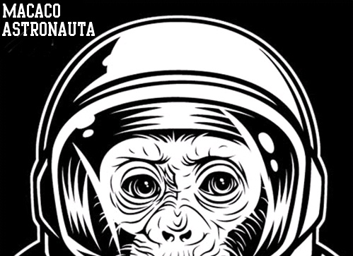 Macaco Astronauta