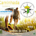 MIRO - Associação local organiza caminhada solidária pelos "Trilhos do Alva"