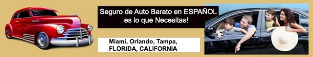 En Español Seguros de Autos en Miami