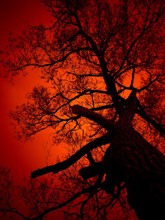 best halloween destinations in europe