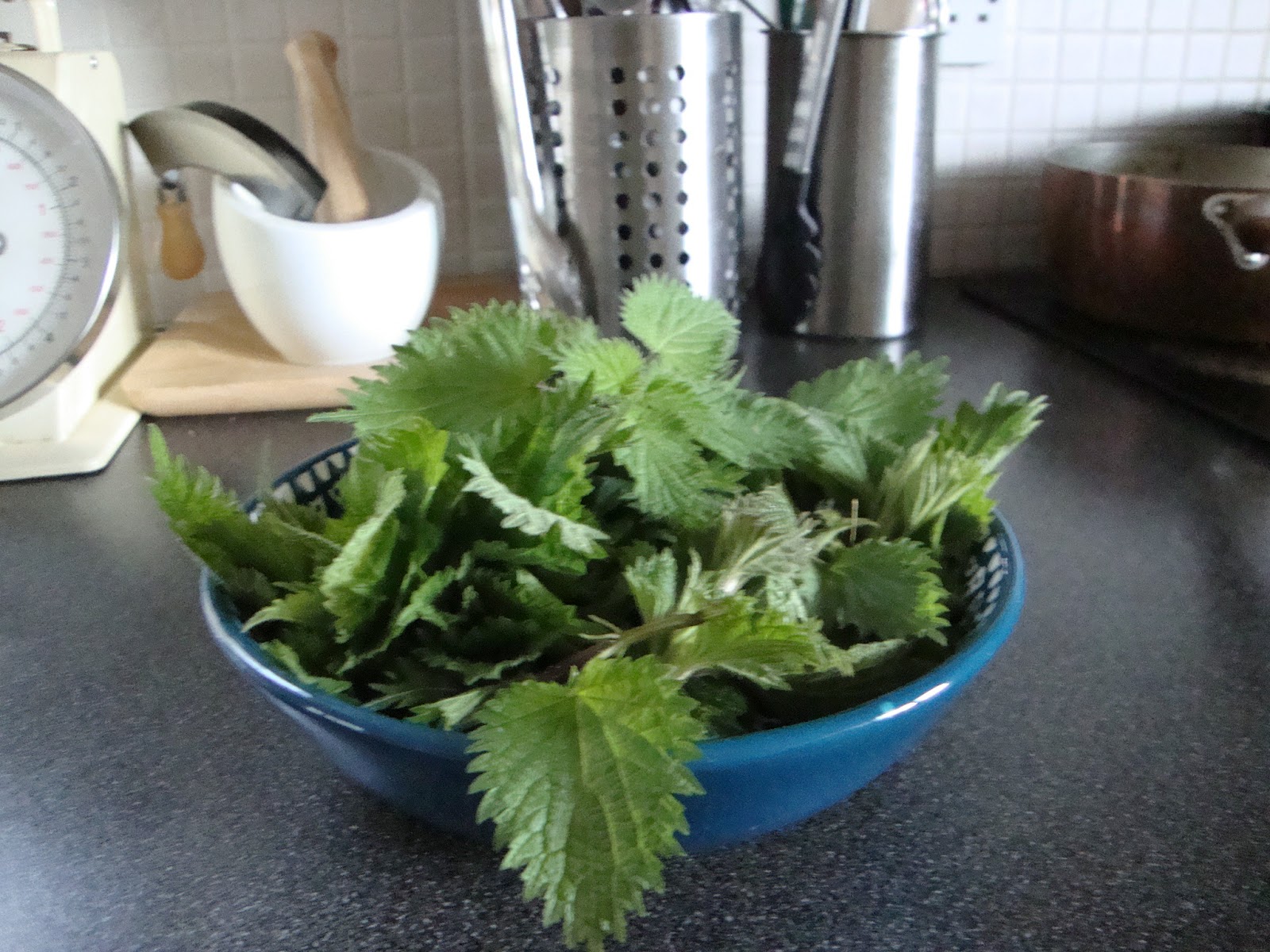 Seeds, roots, leaves and fruits... Cooking with Nettles
