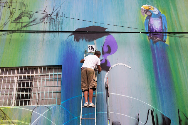 New StreetArt Collaboration By Fin DAC, Angelina Christina and Nove DigitalOrganico in Vila Madalena, Sao Paulo  9