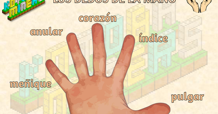 Xannah Spanish Online: LexImagen: los dedos de la mano