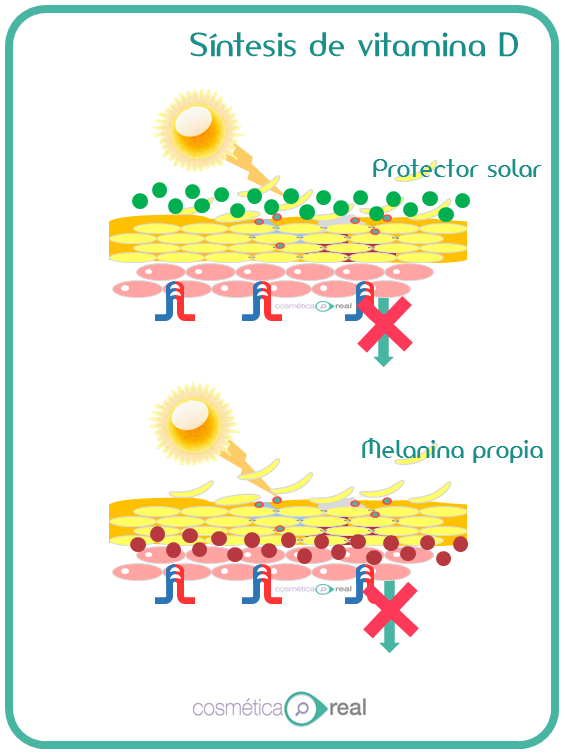 Vitamina D y protectores solares en invierno: Controversia