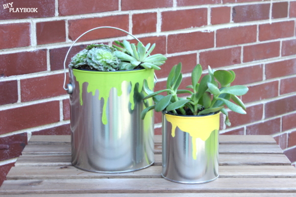 Fill these paint can planters with easy-to-care-for succulents for a fun low-maintenance Father's Day gift. 