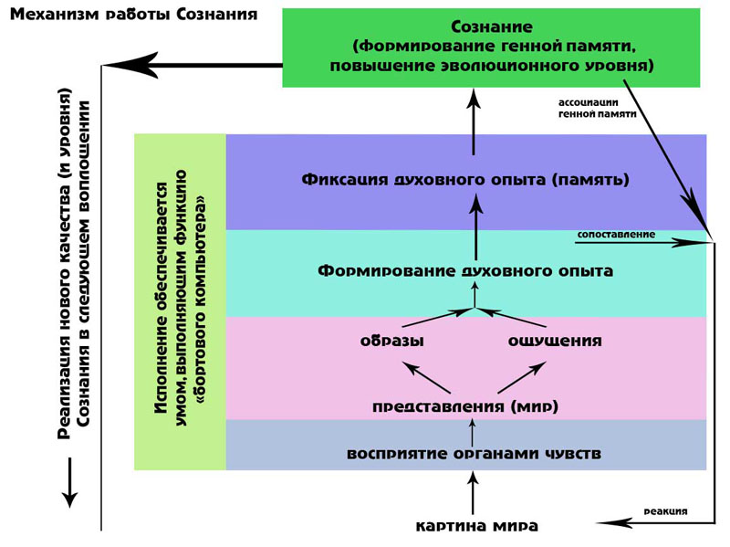 структура и источники сознания. сон сознания. структура сознания схема. сознание (психология). экспериментальная психология сознания.