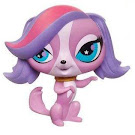 Littlest Pet Shop Marathon Shoppers Generation 4 Pets Pets