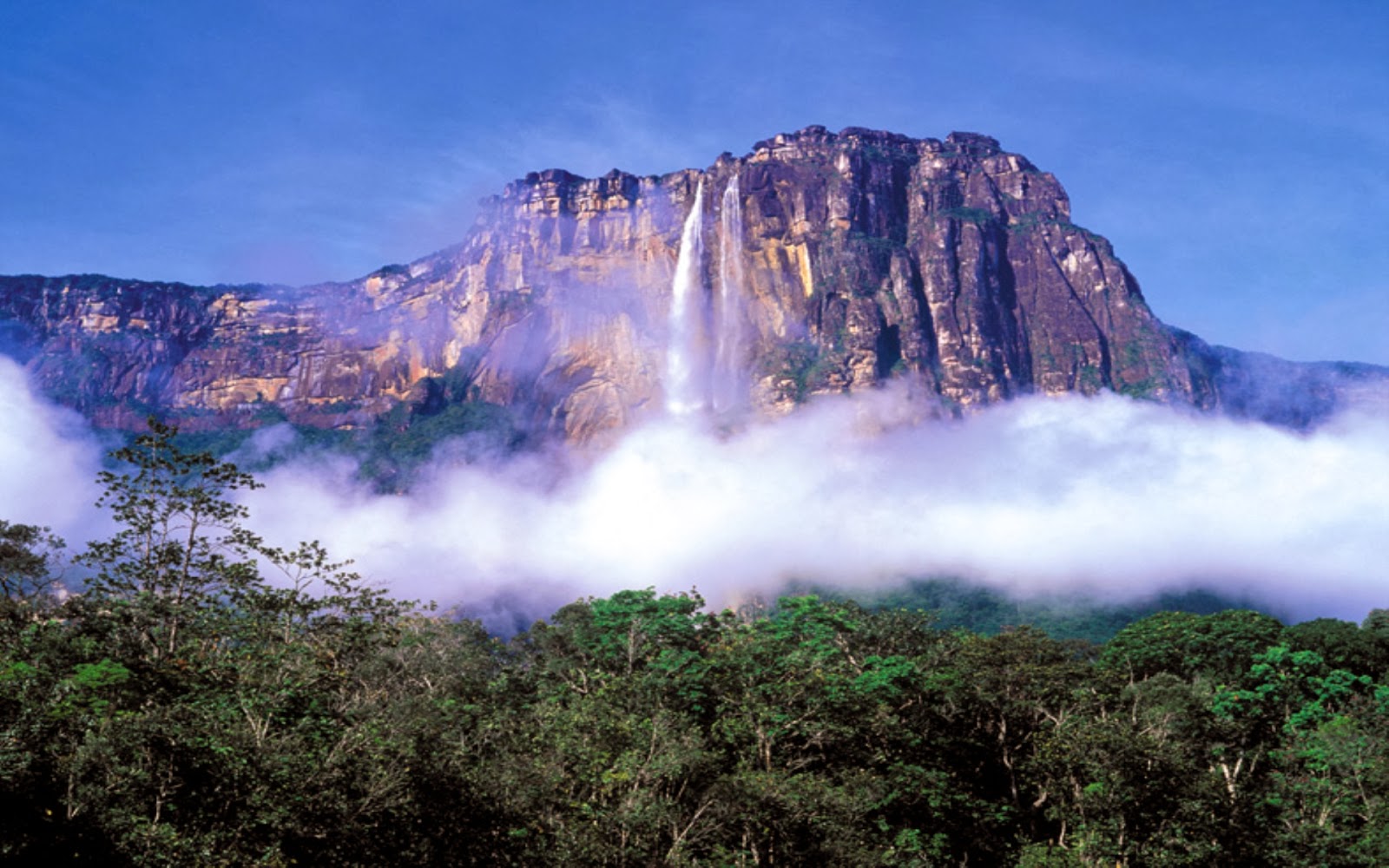 Природные особенности венесуэлы. Водопад Анхель. Водопад Анхель в Южной Америке. Водопад ангела Венесуэла. Самый высокий водопад в мире Анхель.