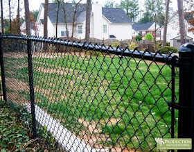 "Rational Preparedness" : The Blog: Considering Varieties of Fencing