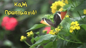 Αποτέλεσμα εικόνας