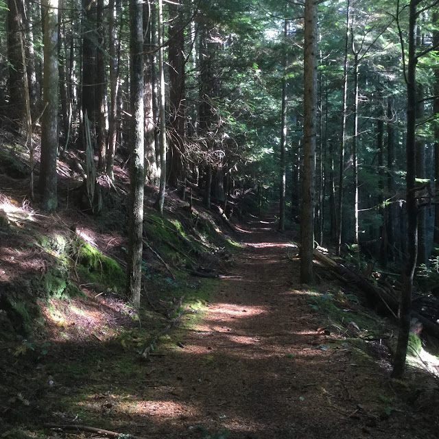 Hiking trail, Fall 2017, Mount Elphinstone, Roberts Creek, BC