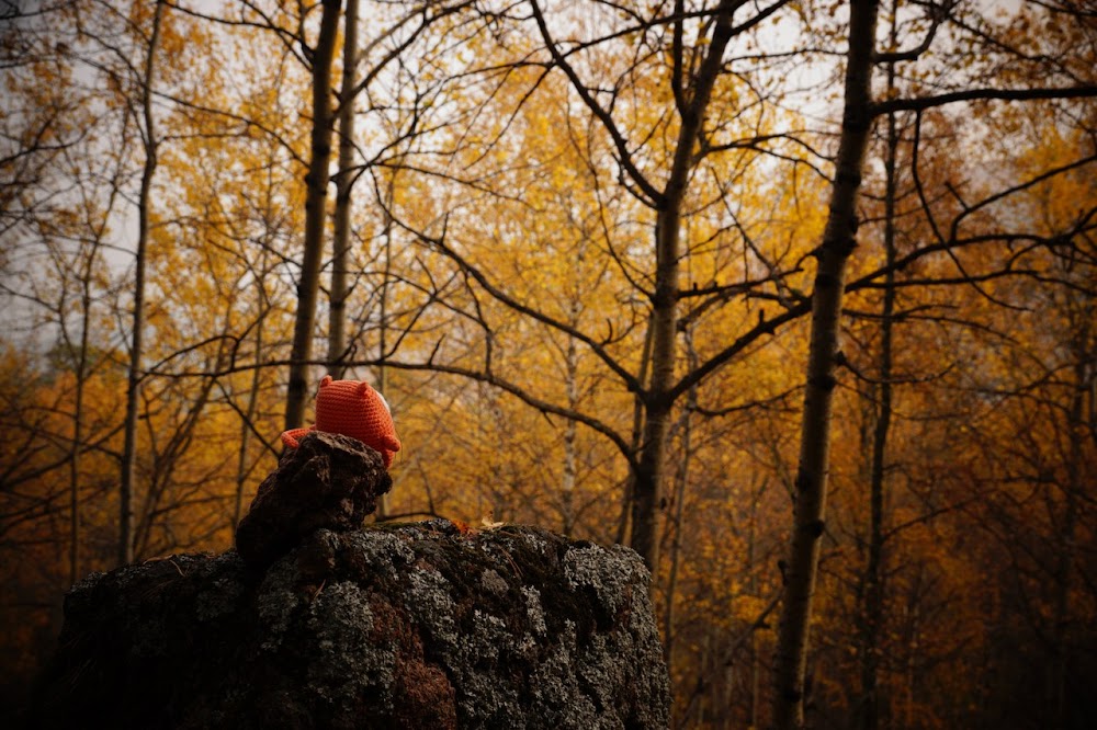 Заповедник Столбы