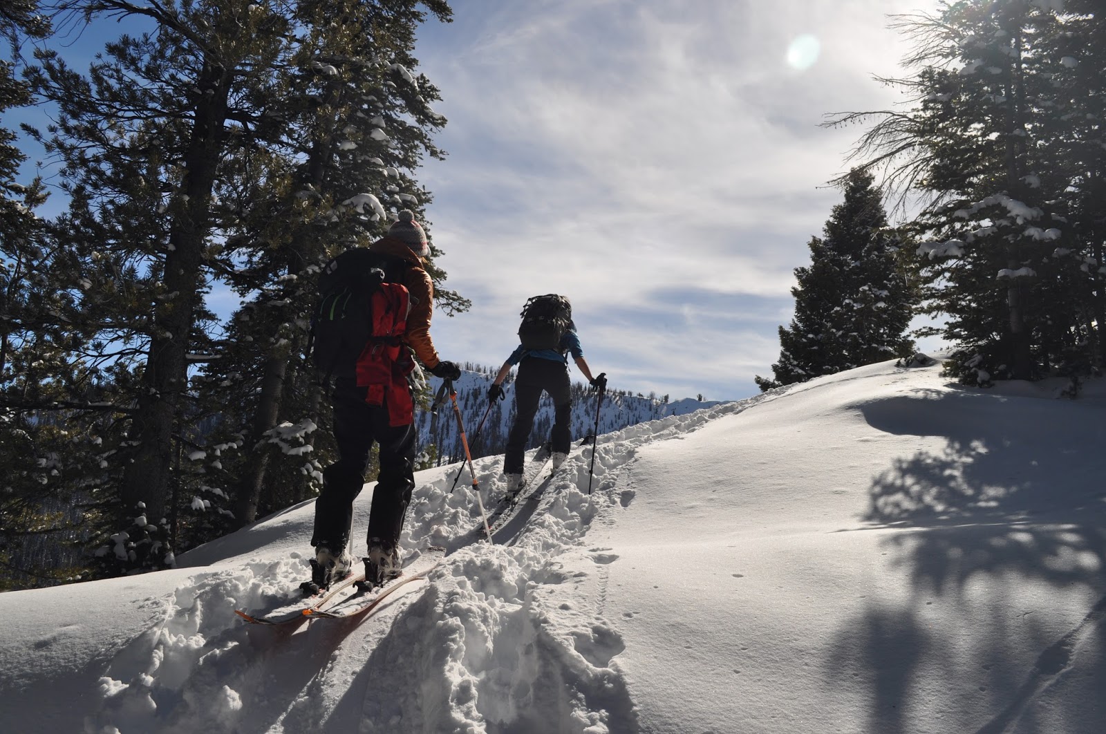 the plural of danish Fishhook Yurt 2016