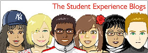 The Student Experience