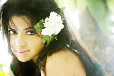 Best Actress Amala Paul HD Full Photo Gallery, Amala Paul Hot Wallpapers , Amala Paul Photoshoot, Amala Paul Saree, Amala Paul Sizzling, Amala Paul Photo Gallery, Tamil actress hot photos ,wallpapers HD images, Bollywood ,Kollywood ,Tollywood Actress AMALA PAUL , South Indian Actress Amala Paul Hot Photos, Wallpapers | Amala Paul hd wallpapers | Amala Paul letest hd images | Amala Paul hd images |Amala Paul hd photos | Amala Paul hd pics | Amala Paul hd photo gallary | Amala Paul actress hd wallpapers | best actress Amala Paul hd wallpapers | hot ans sexy celebritis Amala Paul hd image | hot wallpapes Amala Paul | sexy photos Amala Paul | letest hd wallpapers | hd image | pics hd Amala Paul Best Actress Amala Paul HD Full Photo Gallery, Amala Paul Hot Wallpapers , Amala Paul Photoshoot, Amala Paul Saree, Amala Paul Sizzling, Amala Paul Photo Gallery, Tamil actress hot photos ,wallpapers HD images, Bollywood ,Kollywood ,Tollywood Actress AMALA PAUL , South Indian Actress Amala Paul Hot Photos, Wallpapers | Amala Paul hd wallpapers | Amala Paul letest hd images | Amala Paul hd images |Amala Paul hd photos | Amala Paul hd pics | Amala Paul hd photo gallary | Amala Paul actress hd wallpapers | best actress Amala Paul hd wallpapers | hot ans sexy celebritis Amala Paul hd image | hot wallpapes Amala Paul | sexy photos Amala Paul | letest hd wallpapers | hd image | pics hd Amala Paul