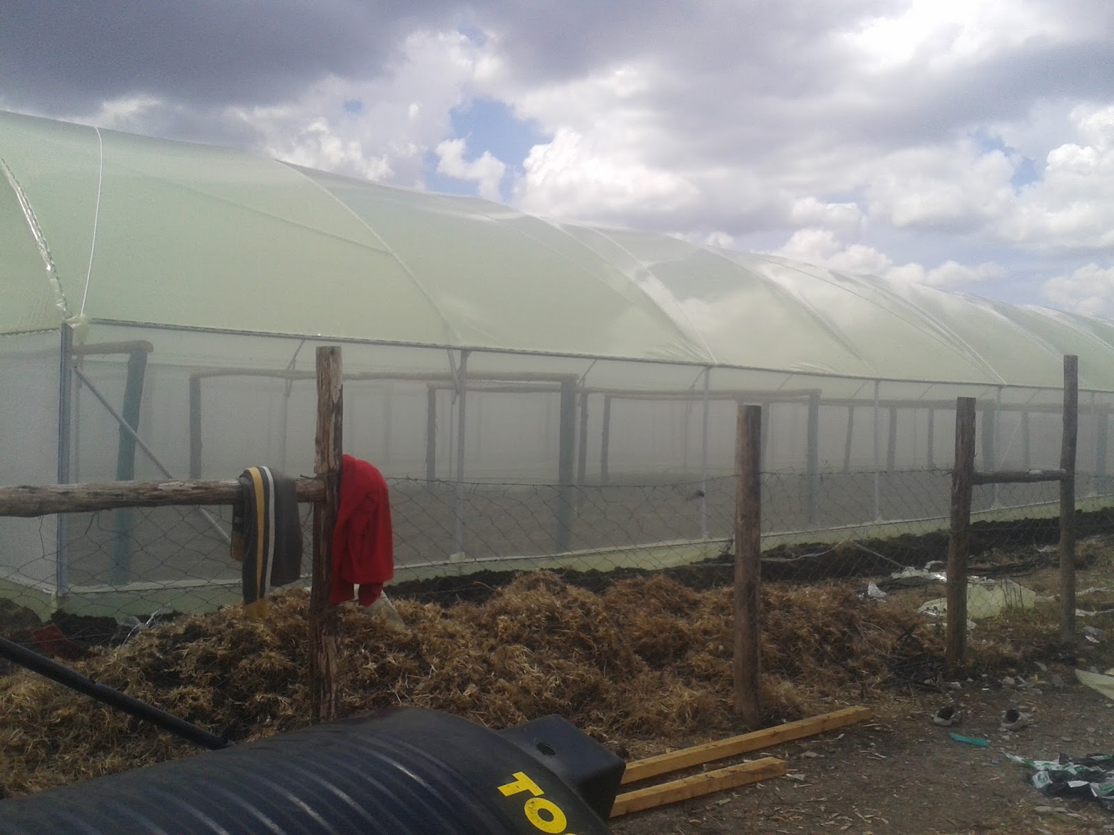 QUALITY AND AFFORDABLE GREENHOUSES FOR KENYA