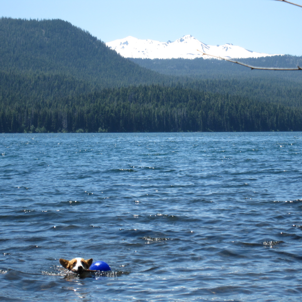 An Austin Homestead Travel Log Odell Lake